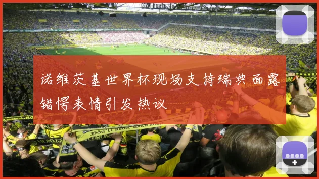 诺维茨基世界杯现场支持瑞典面露错愕表情引发热议