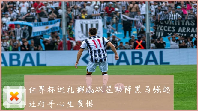 世界杯巡礼挪威双星助阵黑马崛起让对手心生畏惧